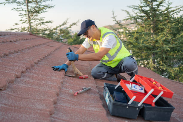 Best Roof Insulation Installation  in USA